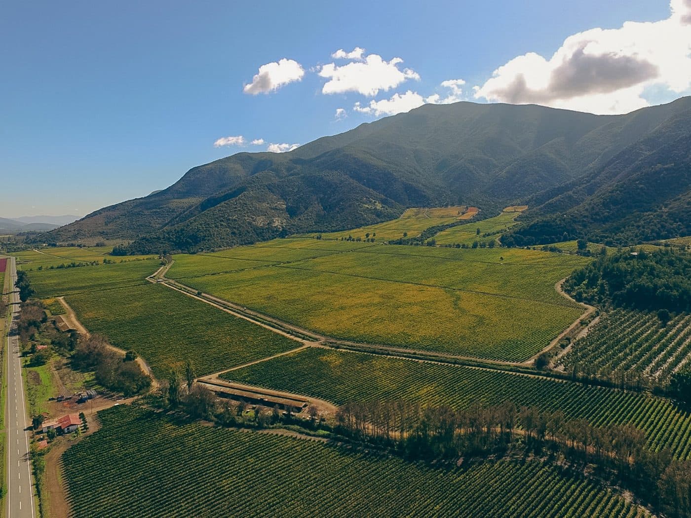 Valle de Maipo